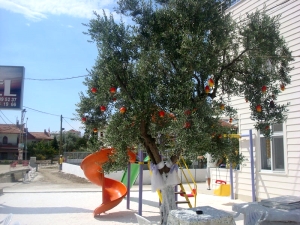 Aydın Motel 13