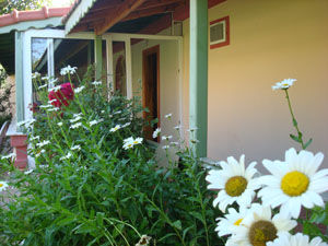 Gökhan Villa 6