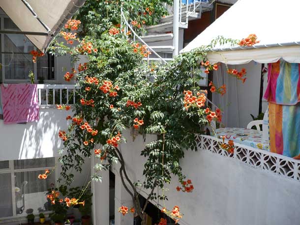 Kanarya Pansiyon 1