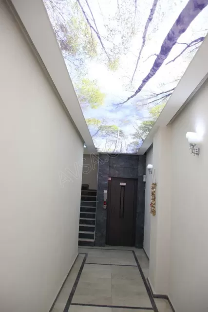 Aslantürk Suit Hotel genel fotoğrafı 18