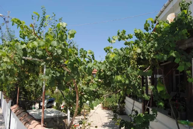 Asmalı Apart fotoğraf 4