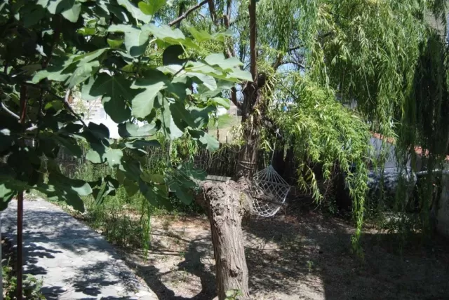 Asmalı Apart genel fotoğrafı 21