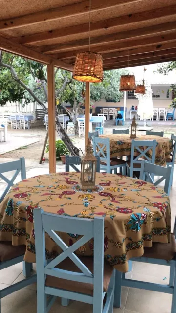 Atamer Bey Konağı genel fotoğrafı 21