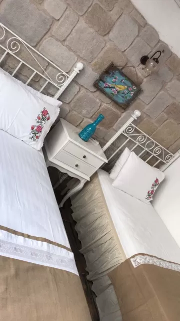 Atamer Bey Konağı genel fotoğrafı 15