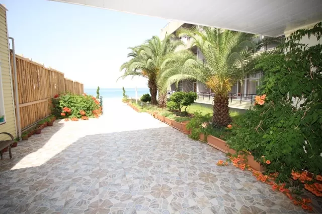 Arena Beach Hotel genel fotoğrafı 28