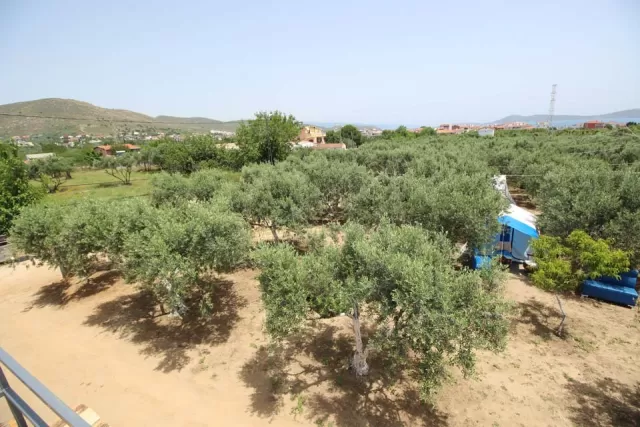 Kamp Alanı genel fotoğrafı 19