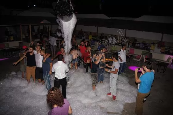 Avşa Liatris Disco fotoğraf 3
