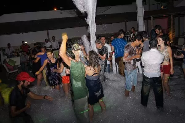 Avşa Liatris Disco fotoğraf 4