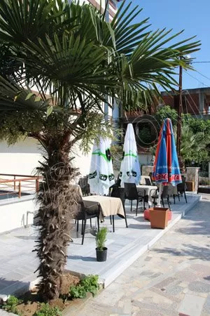 Avşar Daire genel fotoğrafı 13