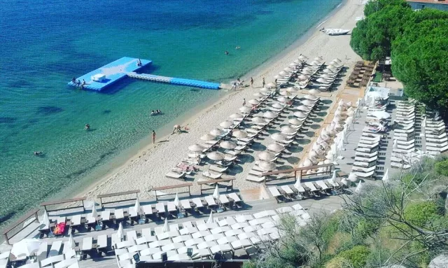 Avşa Ayanya Bungalov genel fotoğrafı 8