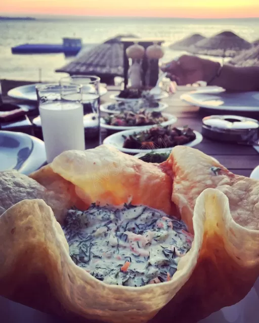 Avşa Ayanya Bungalov genel fotoğrafı 9