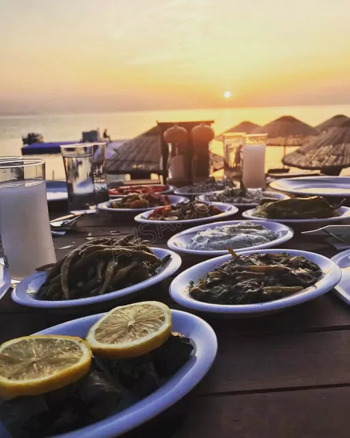 Avşa Ayanya Bungalov genel fotoğrafı 11