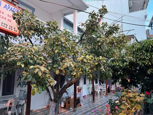 Aycan Apart fotoğraf 2