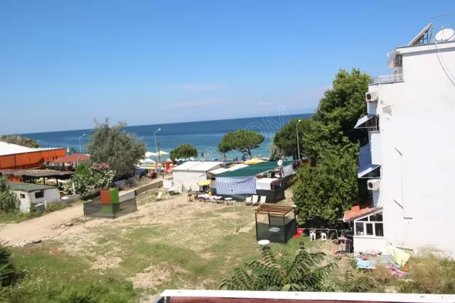 Candan Apart genel fotoğrafı 33