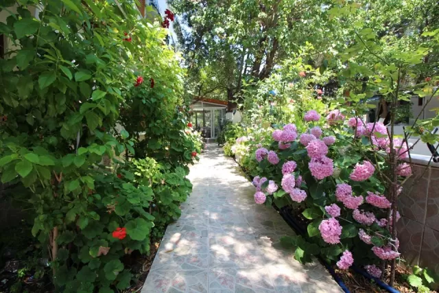 Çatuk Motel genel fotoğrafı 12