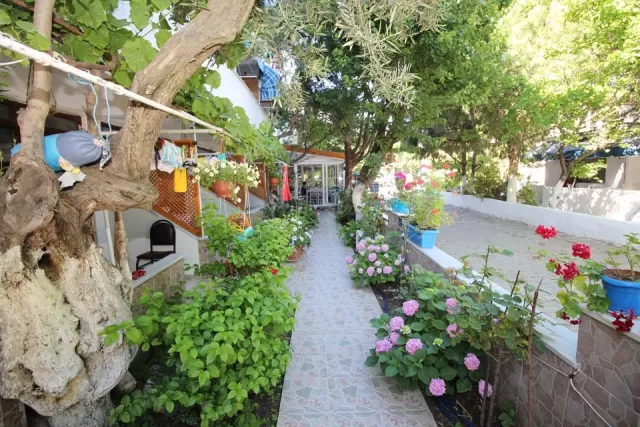 Çatuk Motel genel fotoğrafı 19