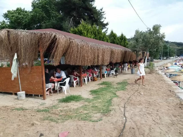 Avşa Çınar Koyu Apart genel fotoğrafı 8