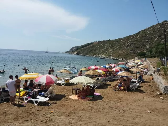 Avşa Çınar Koyu Apart genel fotoğrafı 9