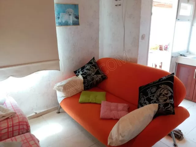 Avşa Çınar Koyu Apart genel fotoğrafı 11