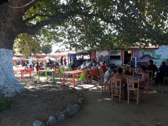 Avşa Çınar Koyu Apart genel fotoğrafı 23