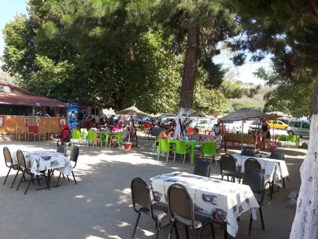 Avşa Çınar Koyu Apart genel fotoğrafı 30