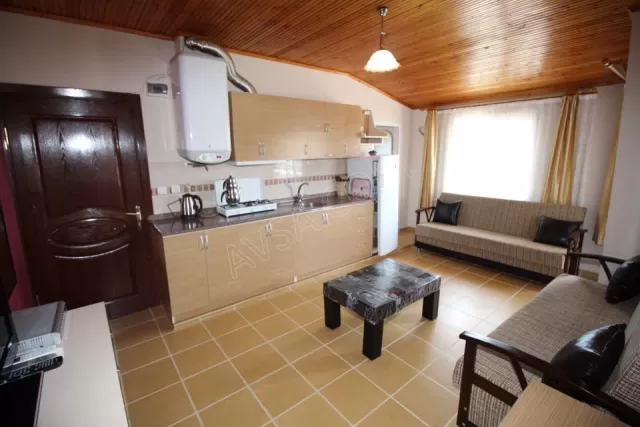 Demet Apart genel fotoğrafı 12