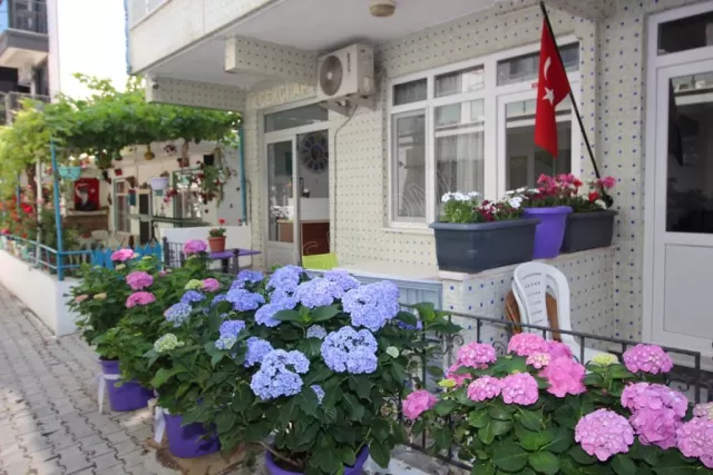 Dikmen Suit genel fotoğrafı 29