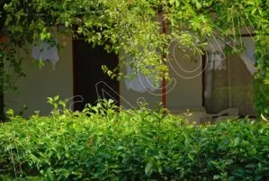 Efe Motel genel fotoğrafı 8