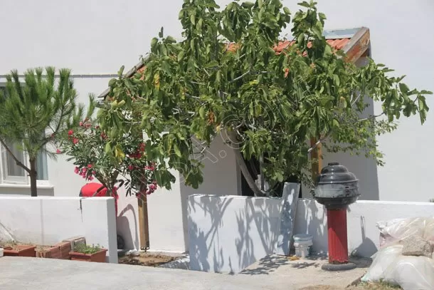 Elmacı Apart genel fotoğrafı 11