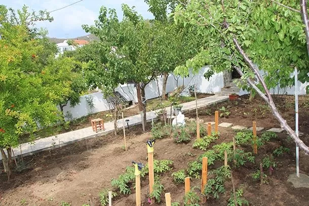 Elmacı Apart genel fotoğrafı 13