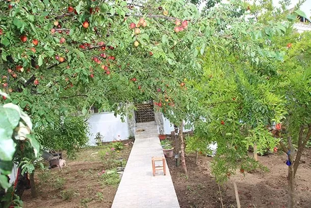 Elmacı Apart genel fotoğrafı 14