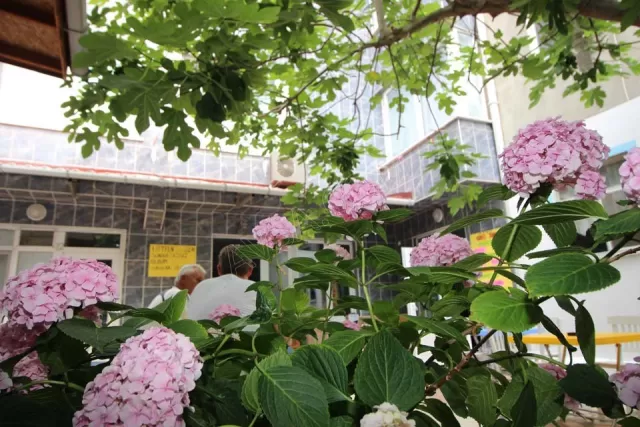 Erenler Motel genel fotoğrafı 8