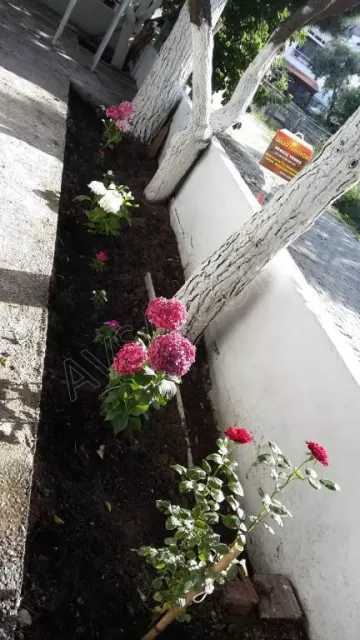 Güler Pansiyon genel fotoğrafı 14