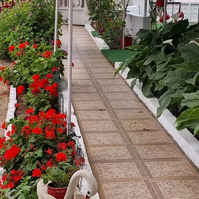 Hülya Apart genel fotoğrafı 38