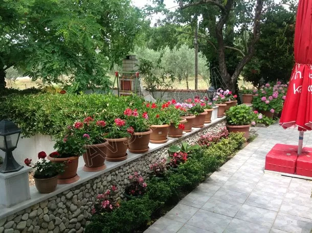 Karadut Pansiyon Hülya genel fotoğrafı 8