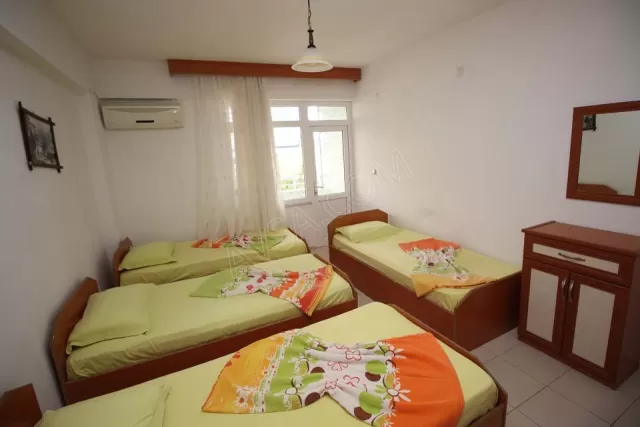 Joey Motel genel fotoğrafı 6
