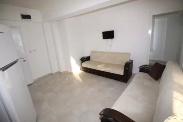 Joey Motel genel fotoğrafı 14