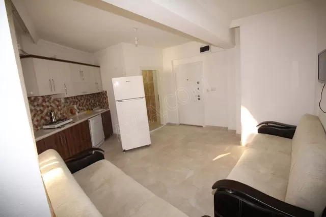 Joey Motel genel fotoğrafı 21