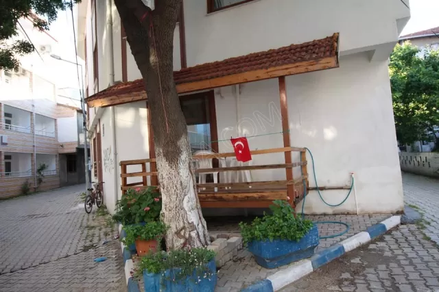 Joey Motel genel fotoğrafı 24