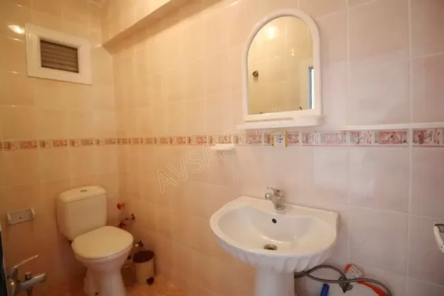 Joey Motel genel fotoğrafı 15