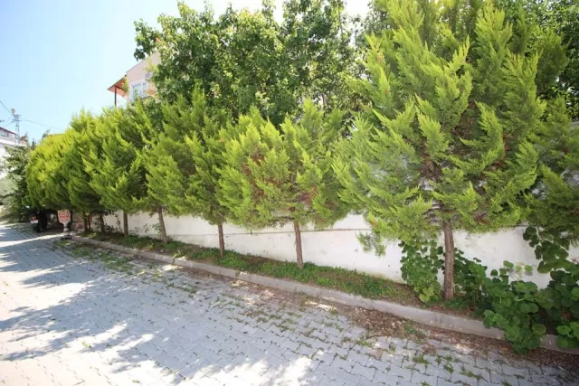 Kiraz Apart genel fotoğrafı 25