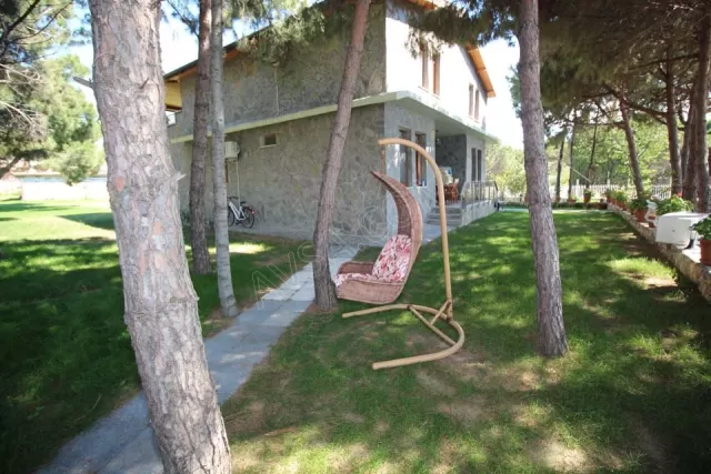 Mavi Koy Beach Resort genel fotoğrafı 33