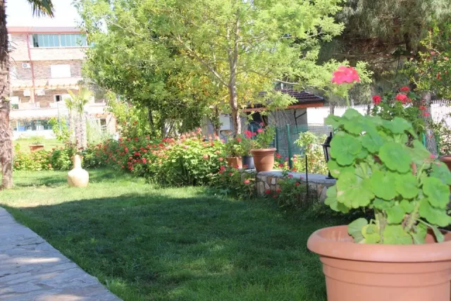 Mavi Koy Beach Resort genel fotoğrafı 35