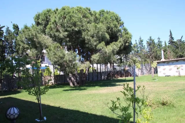 Mavi Koy Beach Resort genel fotoğrafı 36