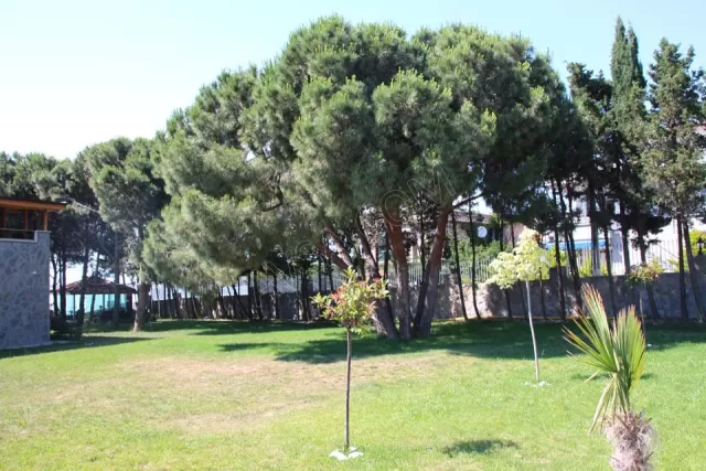 Mavi Koy Beach Resort genel fotoğrafı 37