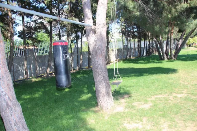 Mavi Koy Beach Resort genel fotoğrafı 38