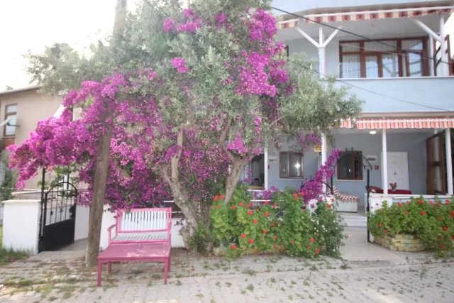 Saray Apart fotoğraf 2