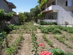 Sevim Apart fotoğraf 2