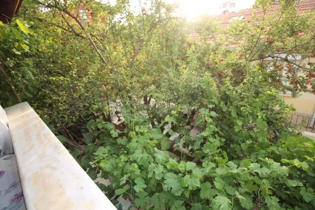 Talya Apart genel fotoğrafı 7