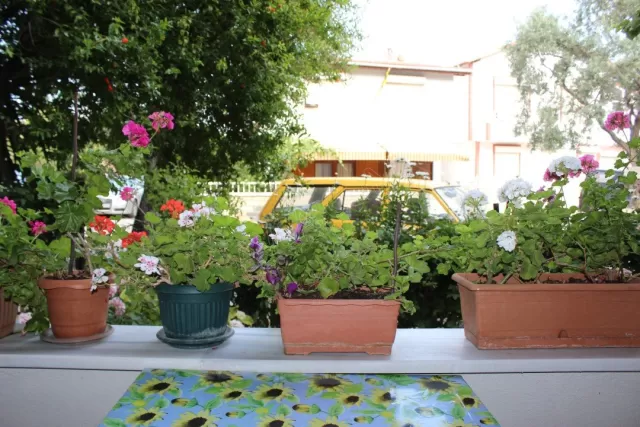 Titiz Pansiyon fotoğraf 5